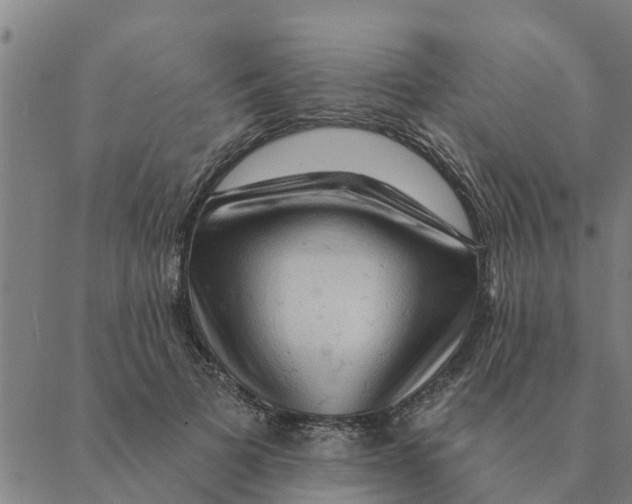 X0000088410697200706191422