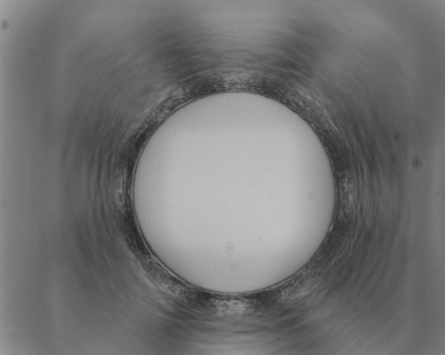 X0000088410698200706191422