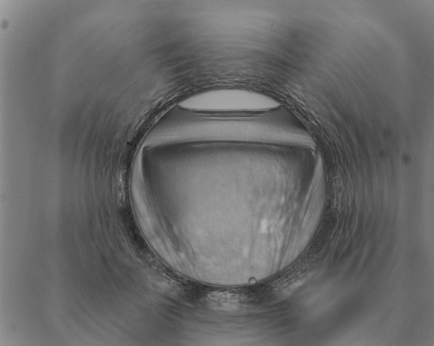 X0000088410699200706191422