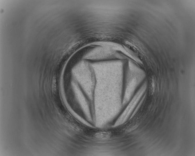 X0000088410700200706191422