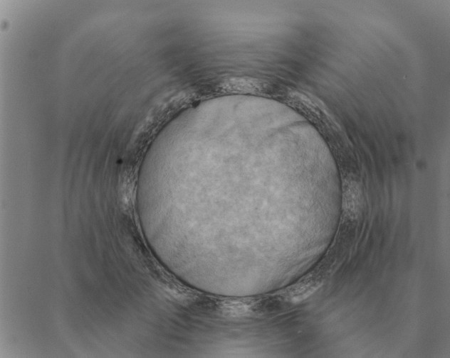 X0000088410701200706191422