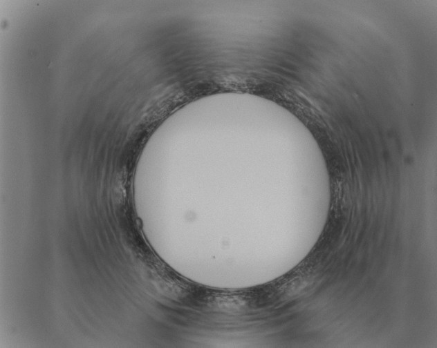 X0000088410702200706191422