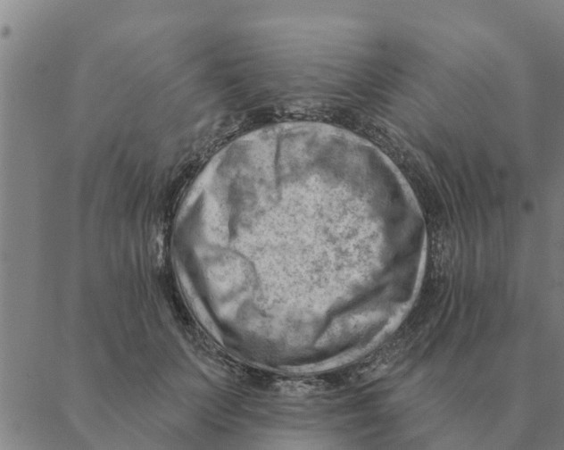 X0000088410703200706191422