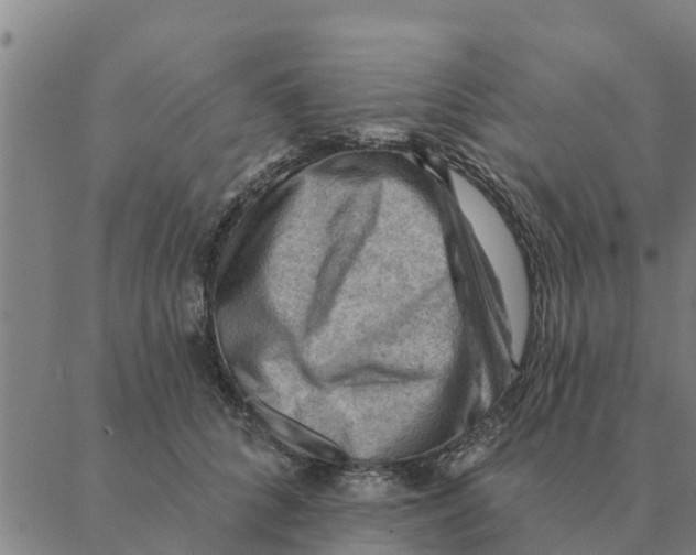 X0000088410704200706191422