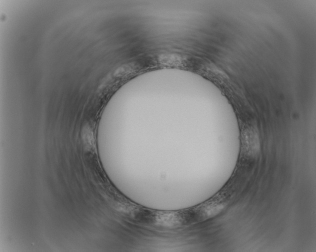 X0000088410705200706191422