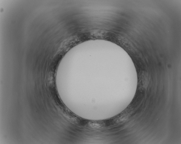 X0000088410706200706191422