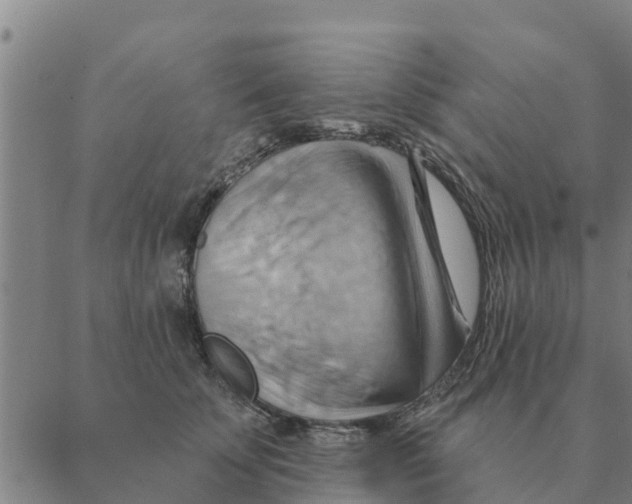 X0000088410707200706191422