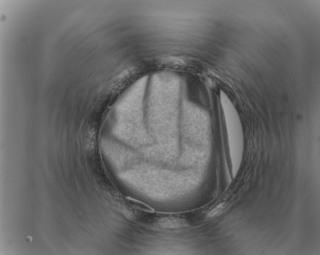 X0000088410708200706191422