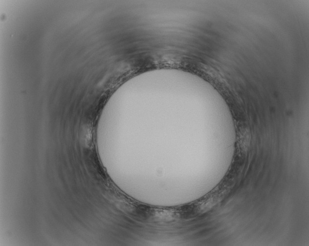 X0000088410709200706191422