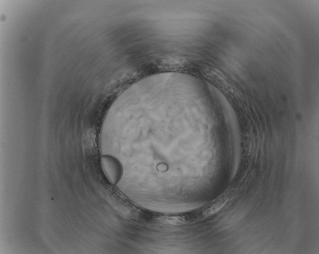 X0000088410711200706191422