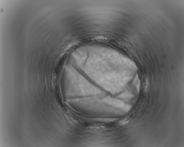 X0000088410712200706191422