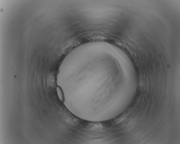 X0000088410715200706191422