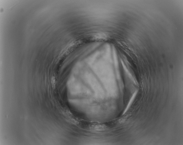 X0000088410716200706191422