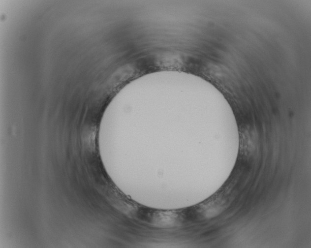 X0000088410717200706191422