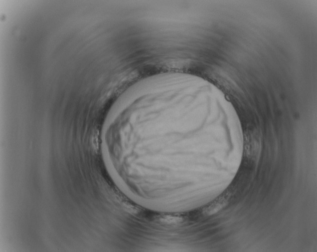 X0000088410718200706191422