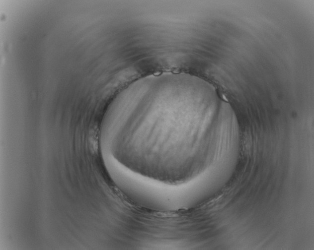 X0000088410719200706191422