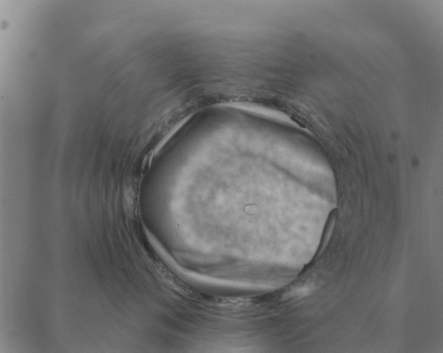 X0000088410720200706191422