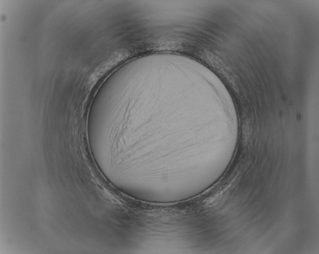 X0000088410721200706191421