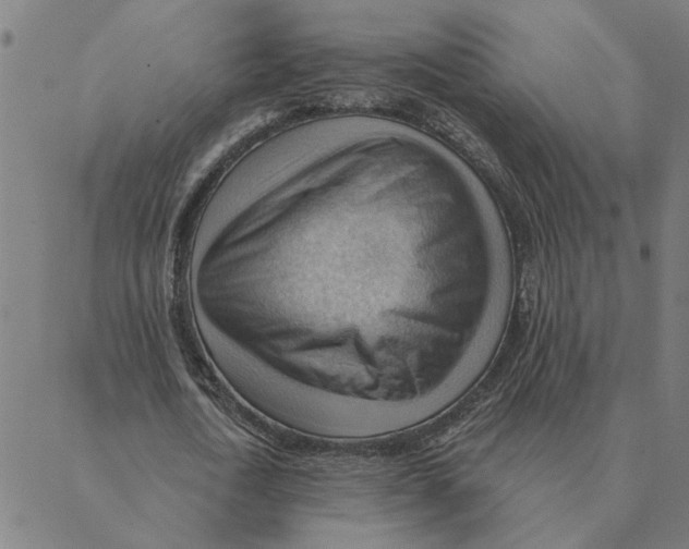 X0000088410722200706191421