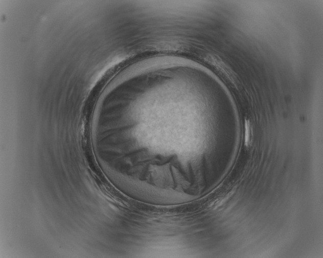 X0000088410723200706191421