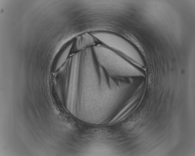 X0000088410724200706191421