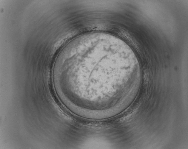 X0000088410725200706191421