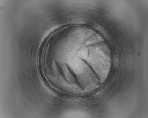 X0000088410726200706191421