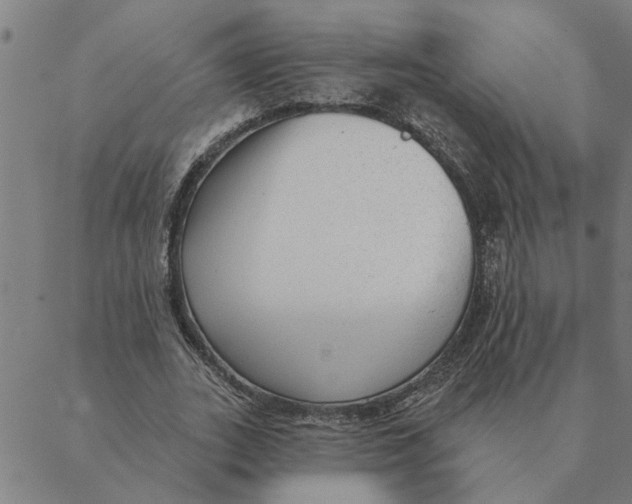 X0000088410727200706191421