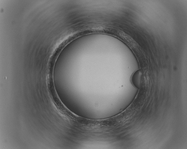 X0000088410728200706191421