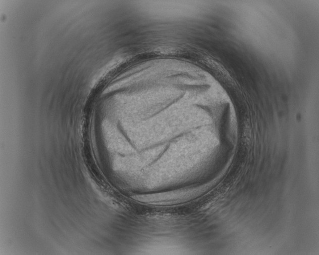 X0000088410730200706191421