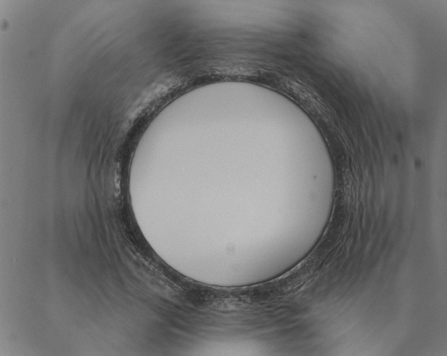 X0000088410731200706191422