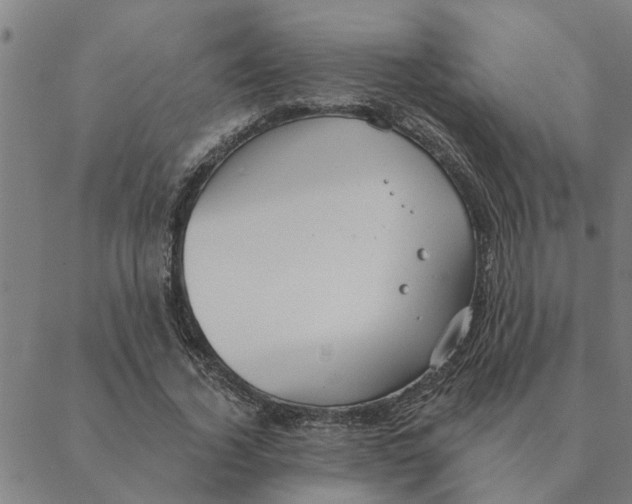 X0000088410732200706191422