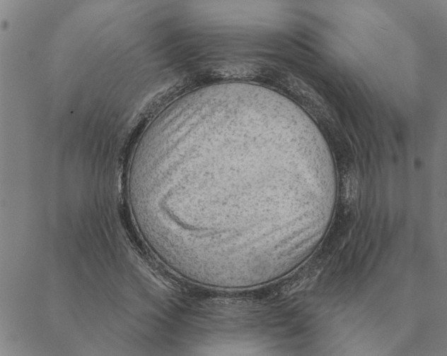 X0000088410733200706191422