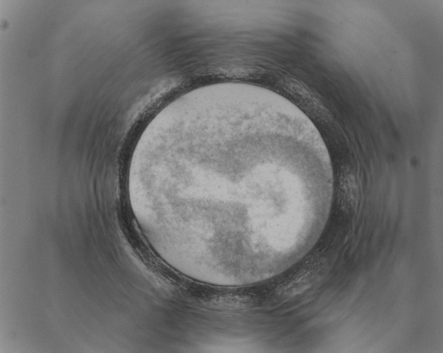 X0000088410734200706191422