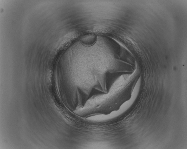 X0000088410735200706191422