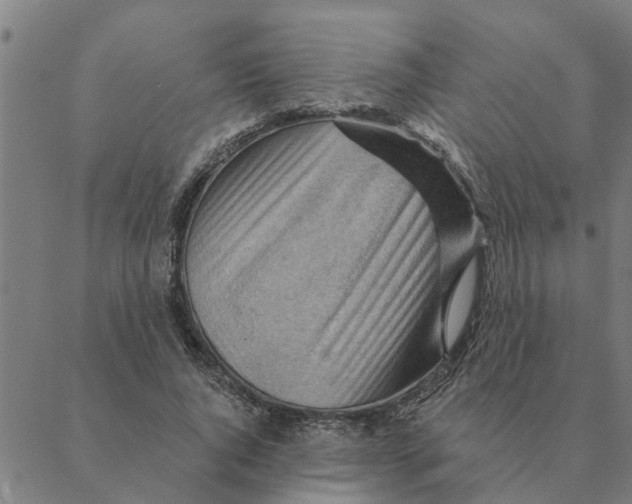 X0000088410736200706191422