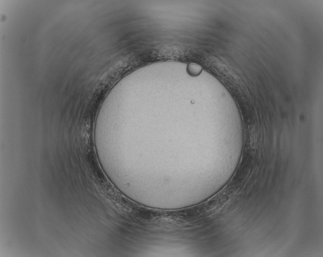 X0000088410737200706191422