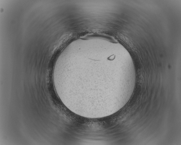 X0000088410738200706191422