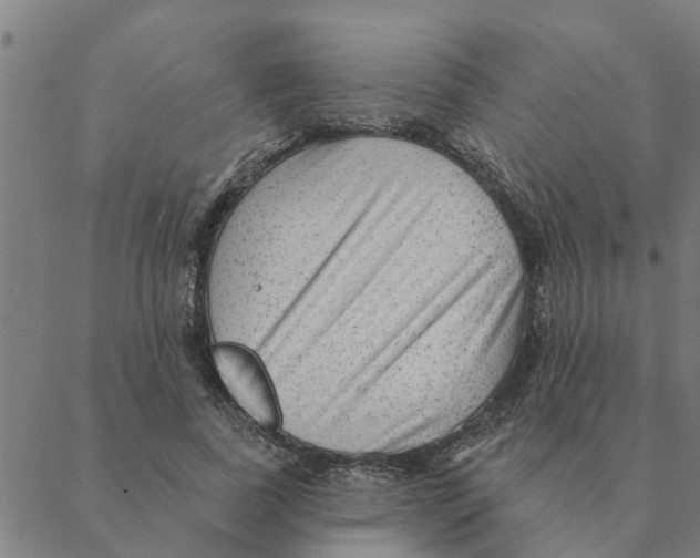 X0000088410739200706191422