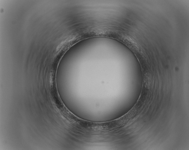 X0000088410740200706191422