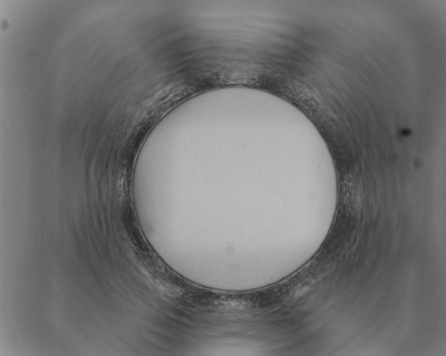 X0000088410741200706191422