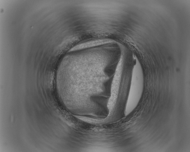 X0000088410742200706191422