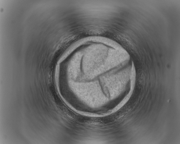 X0000088410743200706191422