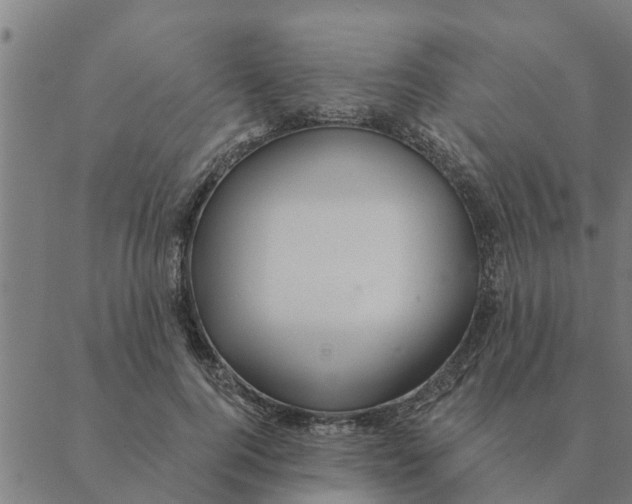 X0000088410744200706191422