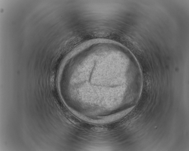 X0000088410745200706191422