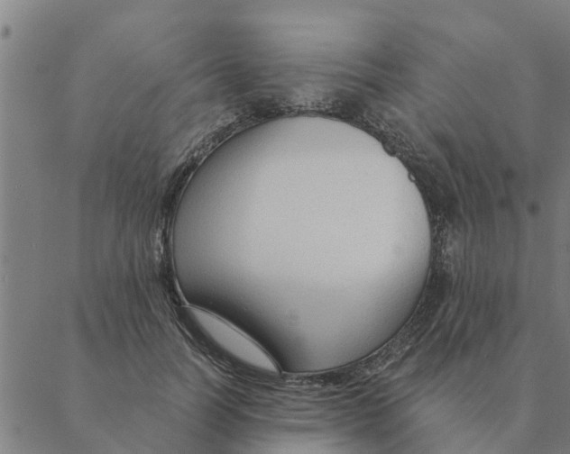 X0000088410746200706191422