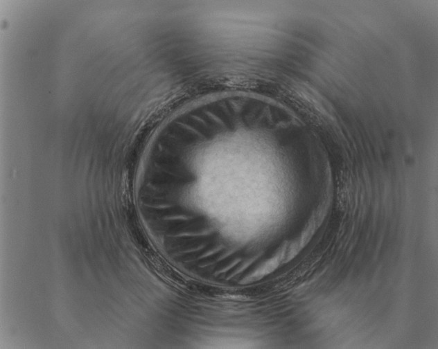 X0000088410748200706191422