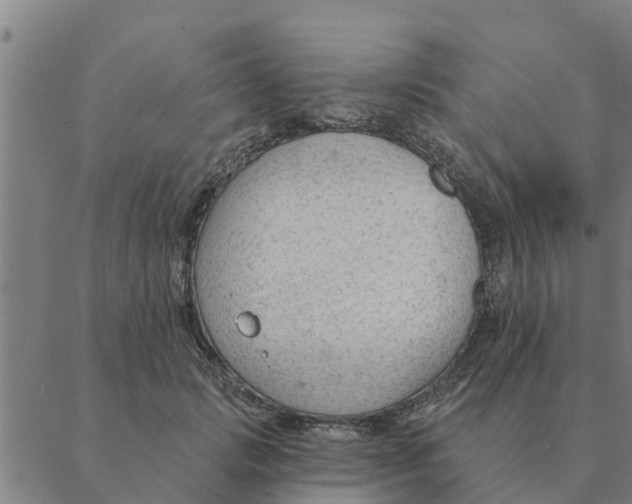 X0000088410749200706191422