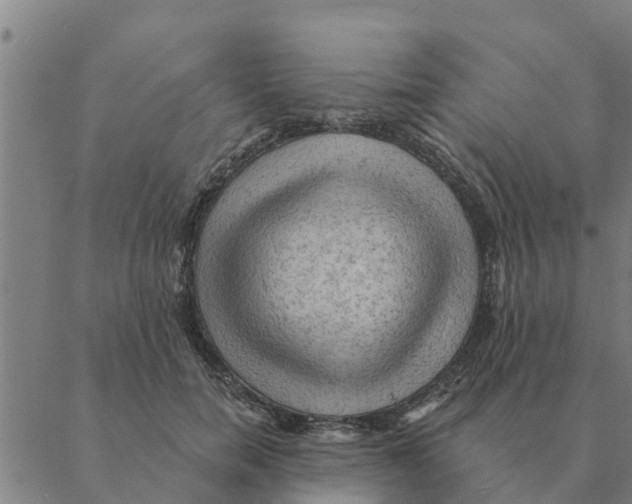 X0000088410750200706191422