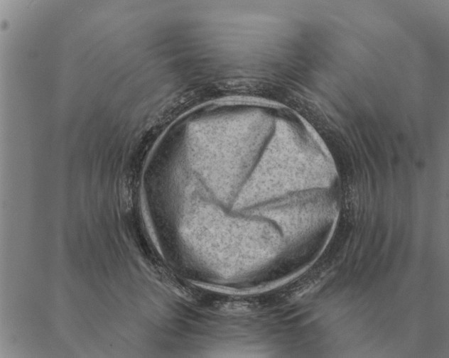 X0000088410751200706191422